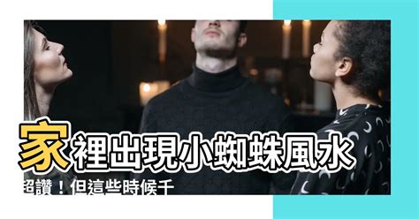 家裡出現小蜘蛛風水